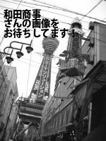 高知市の（有）和田商事