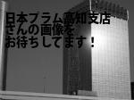 高知市の（株）日本プラム高知支店